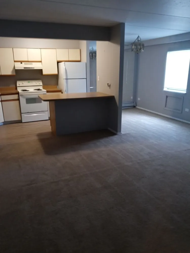 Top-rated yard cleanup service in Highland, IN by TOPP 2 BOTTOM