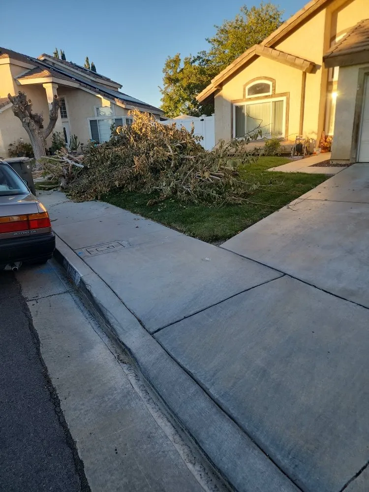 Affordable landscape design for year-round maintenance across Lake Los Angeles, CA - Topp Gunn Landstructions