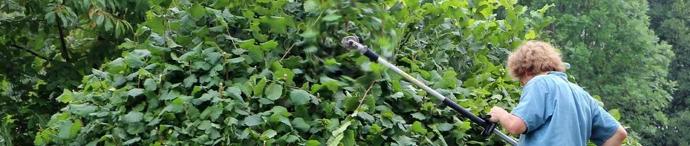 Custom lawn mowing service in Laurinburg, NC by Toppem and Droppem