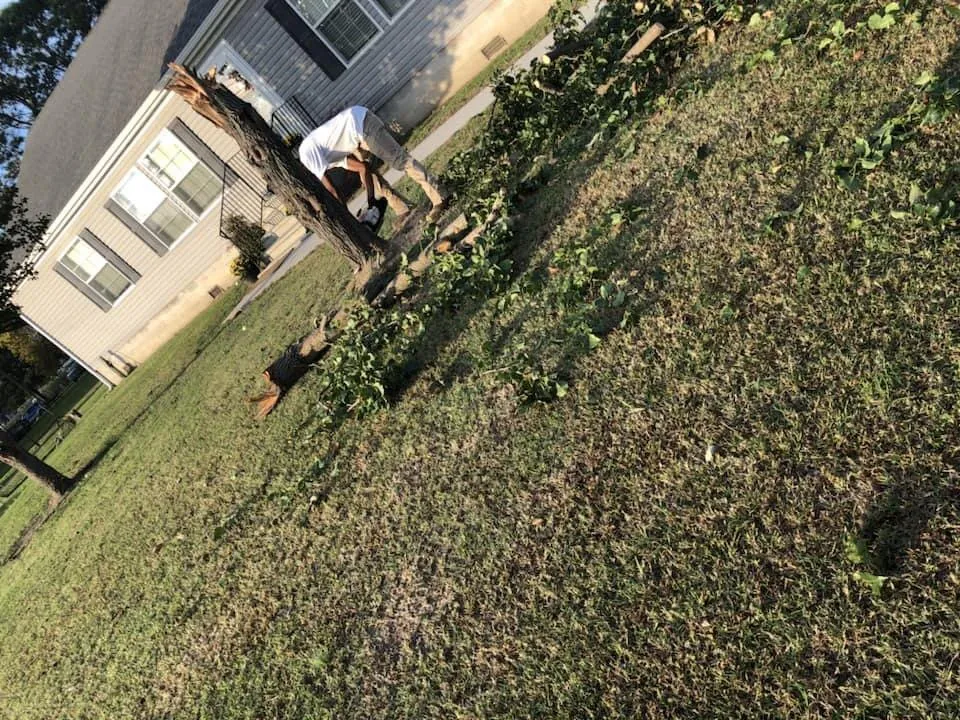 Expert landscaping services for homes in Stockton, MD by Topping Lawn Care