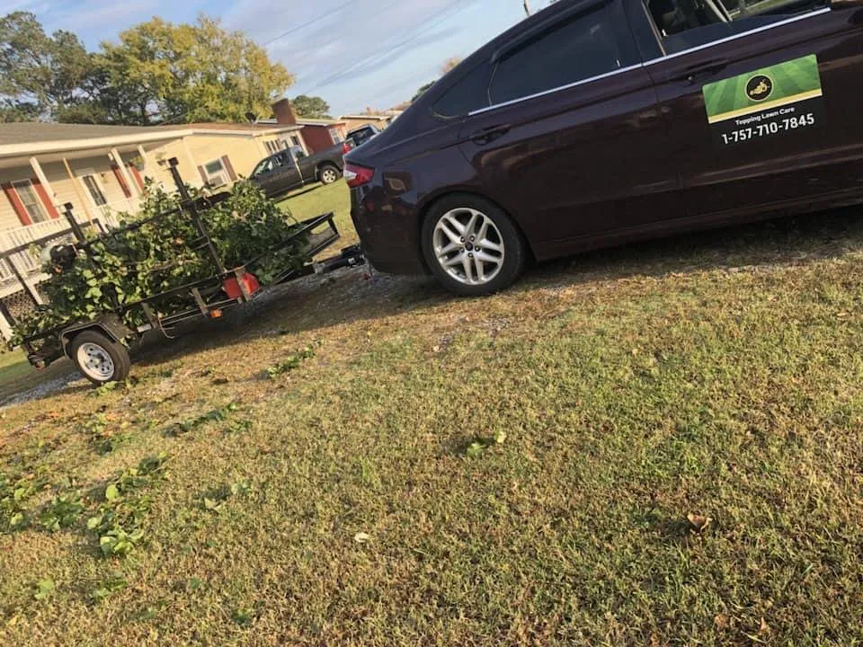 Reliable yard cleanup service for outdoor upgrades in Stockton, MD by Topping Lawn Care