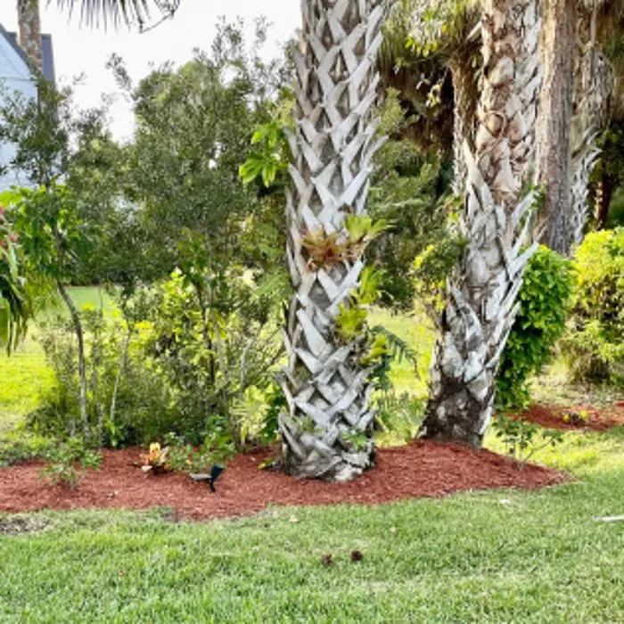 Local residential landscaping with custom design across Melbourne, FL - Tops Down Tree Service