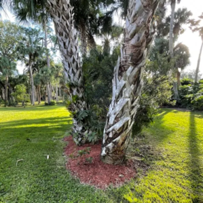 Top-rated landscaping services in Melbourne, FL - Tops Down Tree Service