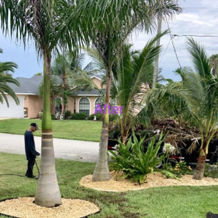 Affordable landscape installation for year-round maintenance in Melbourne, FL by Tops Down Tree Service