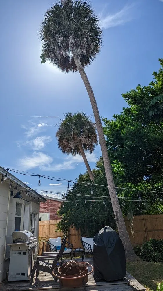 Top-rated landscape installation for homes across Melbourne, FL - Tops Down Tree Service