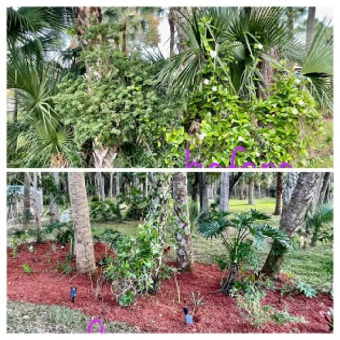 Reliable residential landscaping in Melbourne, FL by Tops Down Tree Service