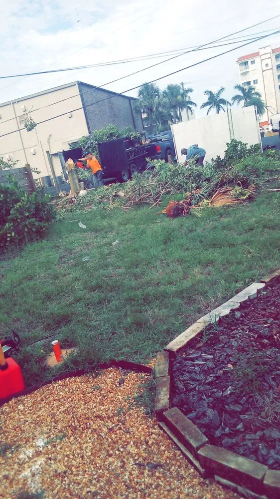 Affordable landscape installation for beautiful yards in Melbourne, FL by Tops Down Tree Service