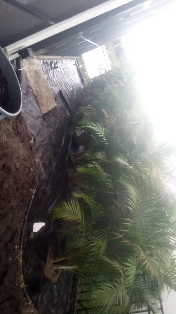 Local garden landscaping in Melbourne, FL - Tops Down Tree Service