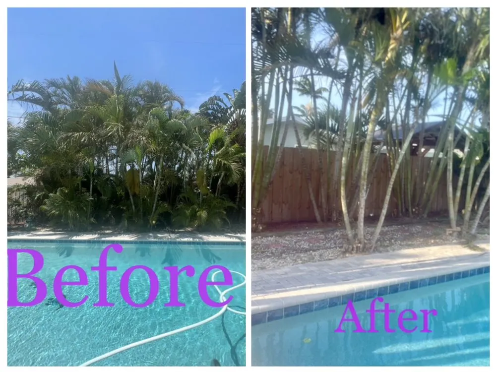Reliable landscape installation experts serving Melbourne, FL - Tops Down Tree Service