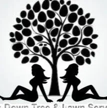 Top-rated yard cleanup service experts serving Melbourne, FL - Tops Down Tree Service