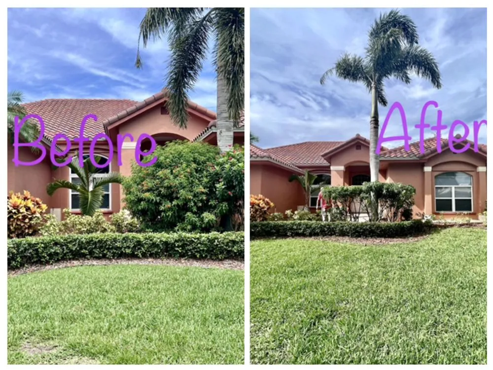 Local residential landscaping in Melbourne, FL - Tops Down Tree Service
