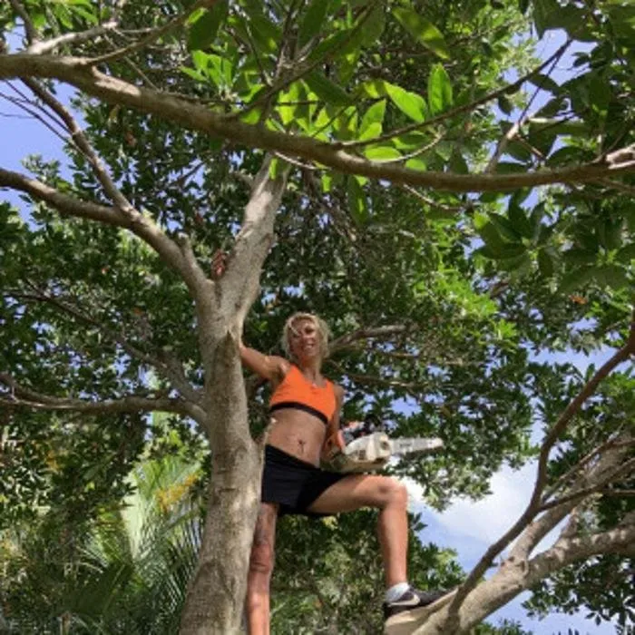 Top-rated yard cleanup service for year-round maintenance across Melbourne, FL - Tops Down Tree Service