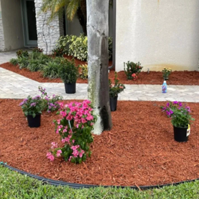 Local yard maintenance for beautiful yards in Melbourne, FL by Tops Down Tree Service