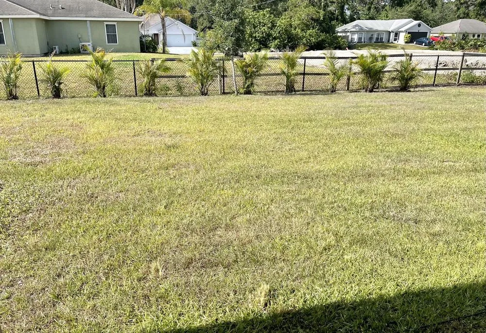 Local outdoor landscaping in Melbourne, FL - Tops Down Tree Service