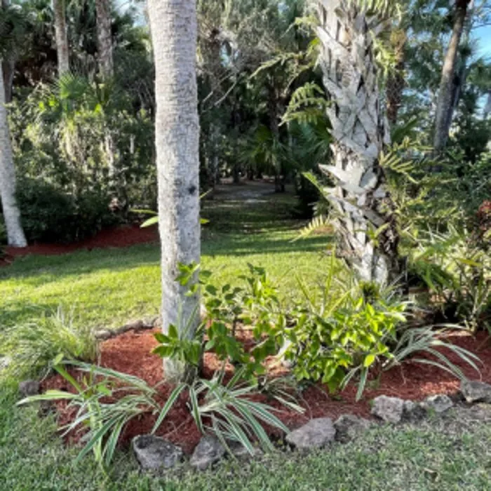 Reliable garden landscaping for year-round maintenance in Melbourne, FL by Tops Down Tree Service