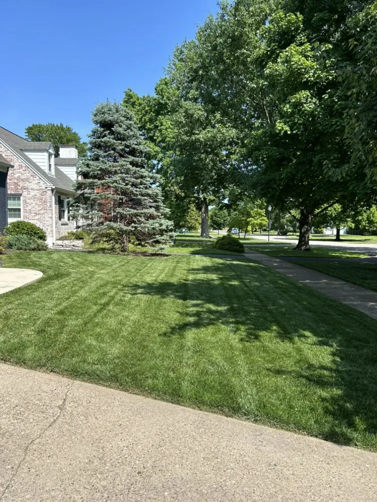 Affordable yard maintenance in Louisville, KY by Tops Lawn Care