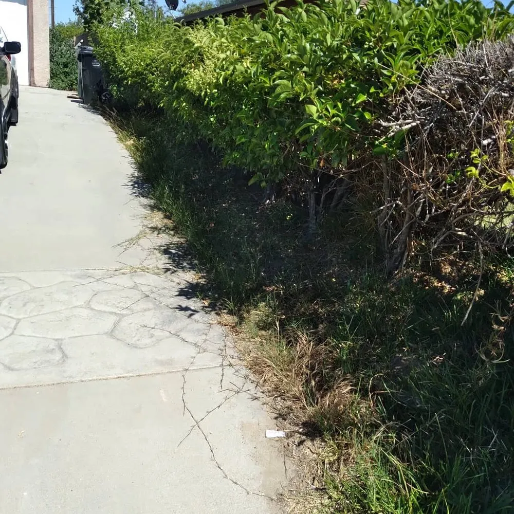 Affordable yard maintenance for year-round maintenance across San Bernardino, CA - Tops One Landscape Maintenance