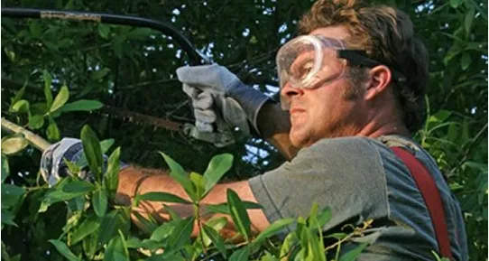 Tops Tree Service Logo