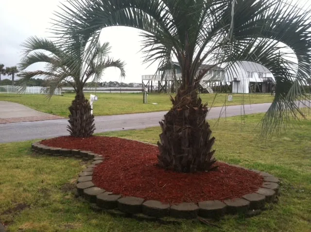 Affordable landscape installation for homes across North Topsail Beach, NC - Topsail Moonlight Management