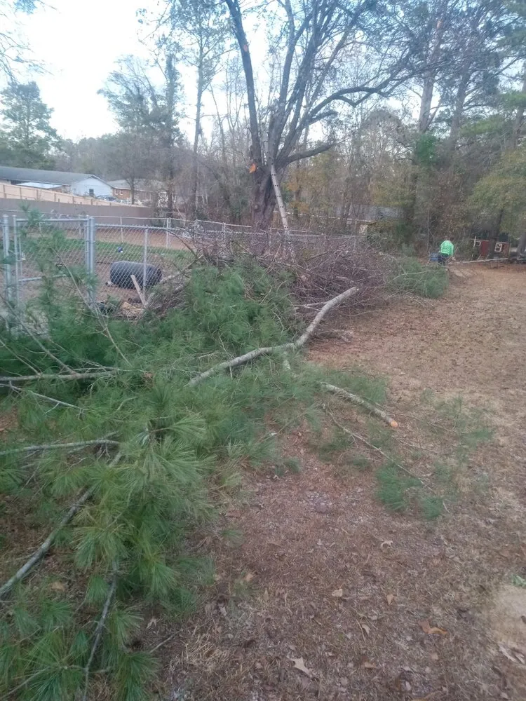 Custom landscape installation experts serving North Topsail Beach, NC - Topsail Turfscapes