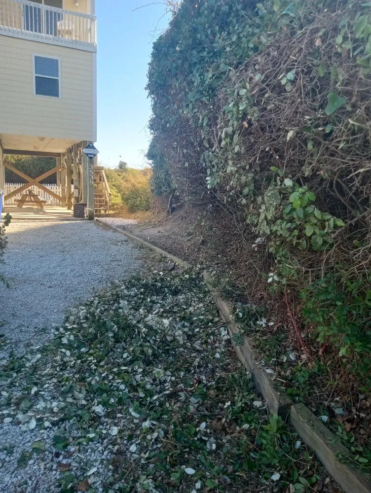 Affordable lawn care service for year-round maintenance in North Topsail Beach, NC by Topsail Turfscapes