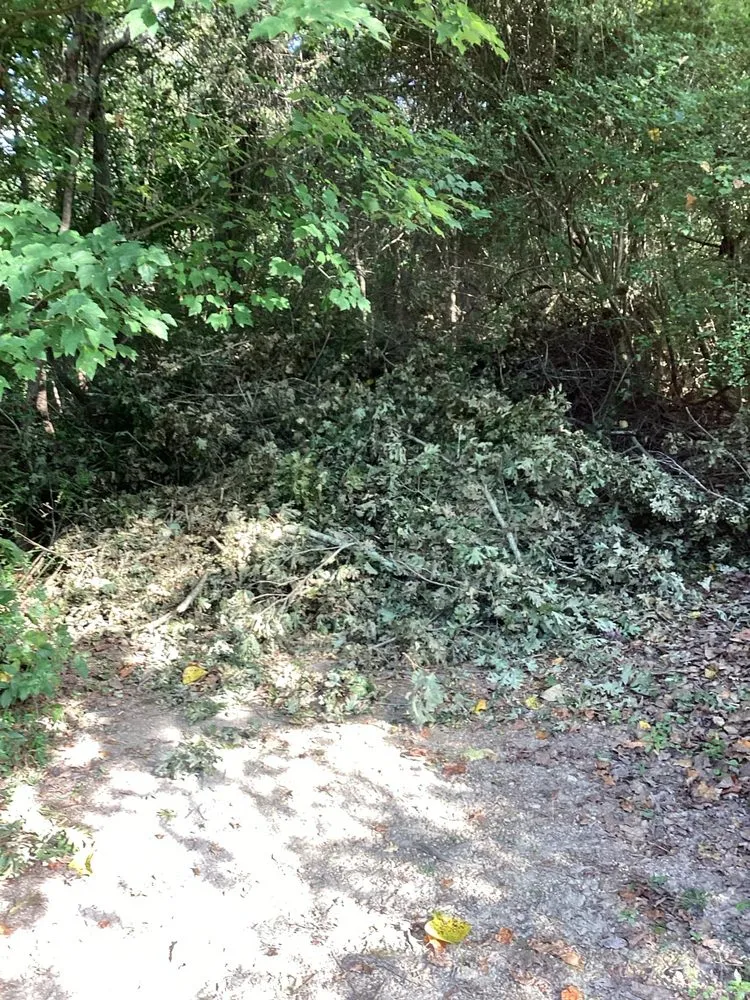 Expert landscape design in Harrison, TN - Topside