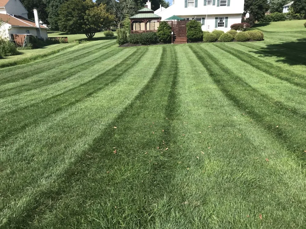 Affordable landscape design for homes in Coatesville, PA by Topside Landscaping