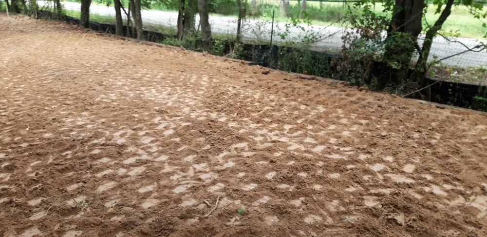 Trusted yard maintenance with custom design across Bay City, TX - Topsoil Construction