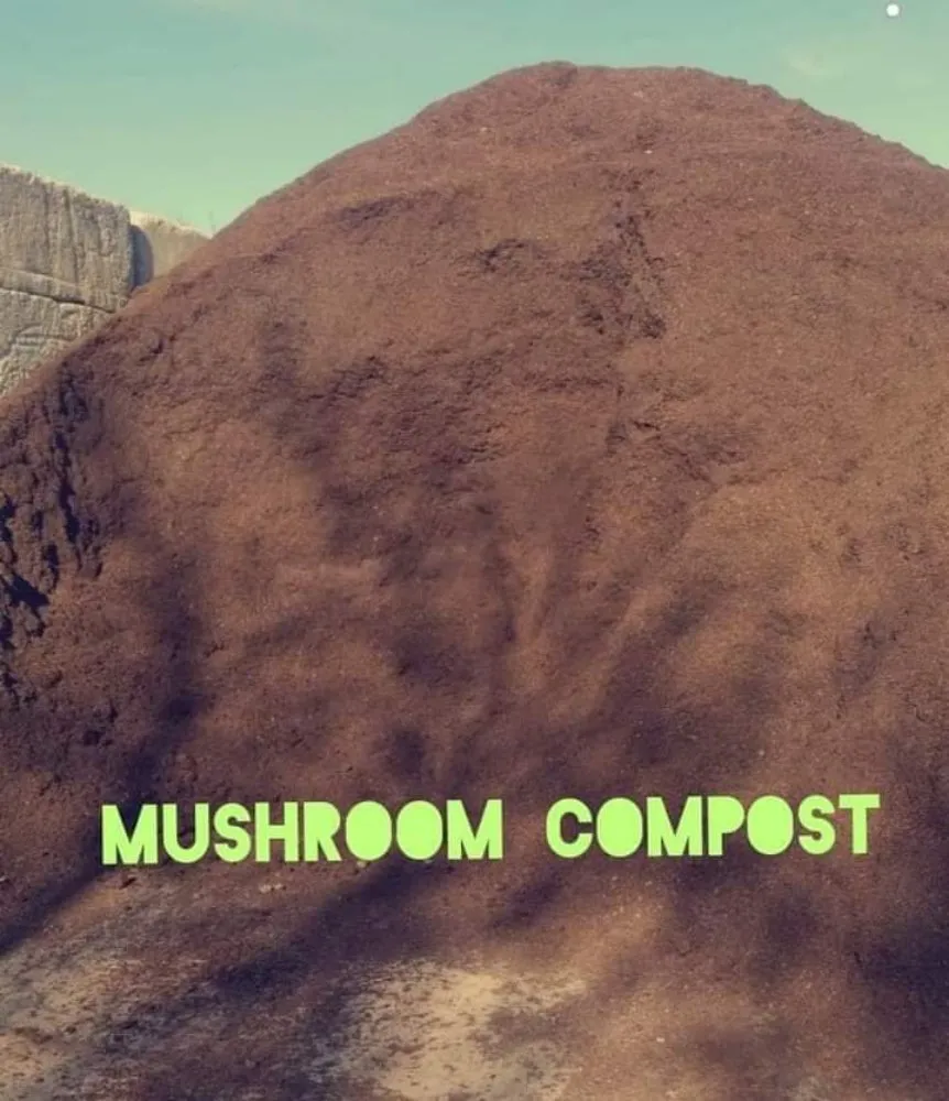 Custom yard cleanup service experts serving Kildeer, IL - Topsoil Delivery & More