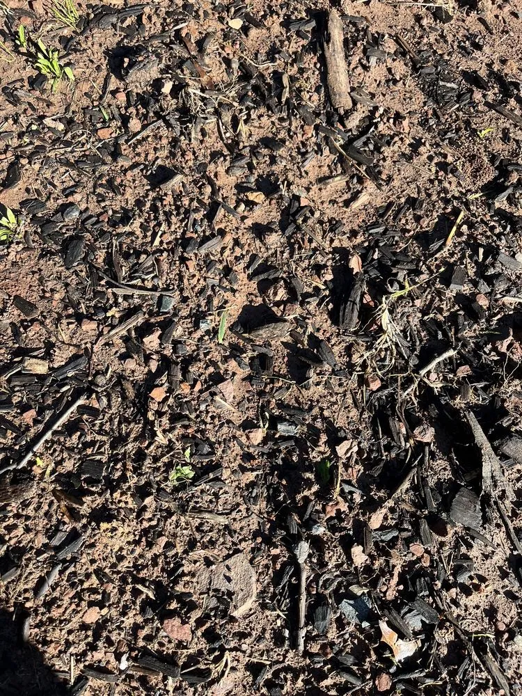 Professional lawn mowing service near you across Morganville, NJ - Topsoil Pros