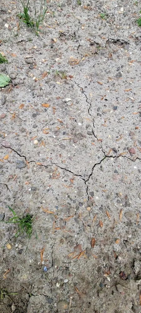 Trusted residential landscaping experts serving Morganville, NJ - Topsoil Pros