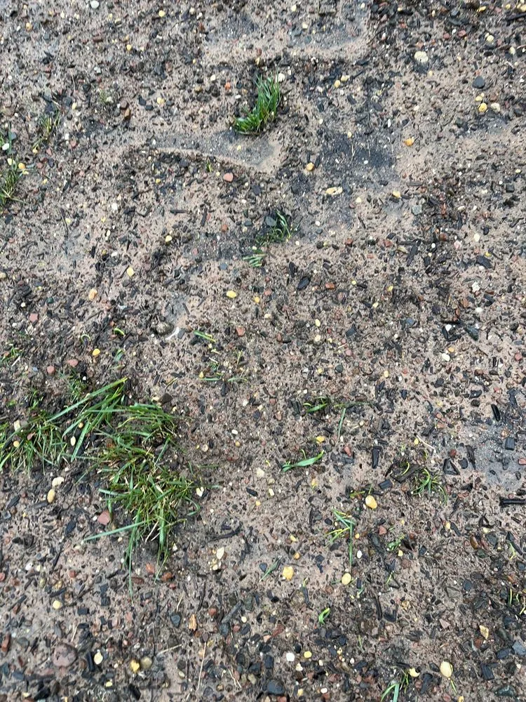 Custom yard cleanup service experts serving Morganville, NJ - Topsoil Pros