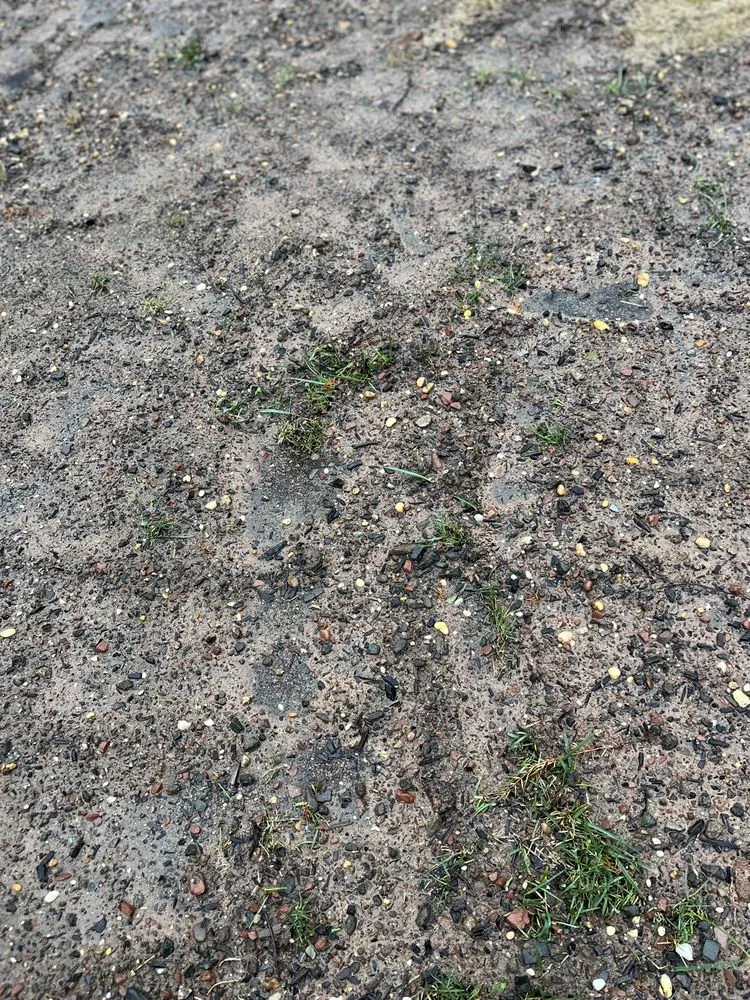 Professional yard maintenance in Morganville, NJ by Topsoil Pros