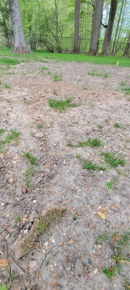 Expert yard maintenance in Morganville, NJ by Topsoil Pros