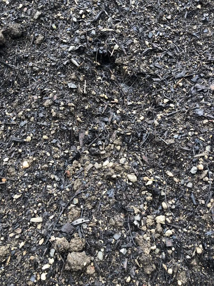 Affordable yard maintenance in Morganville, NJ - Topsoil Pros