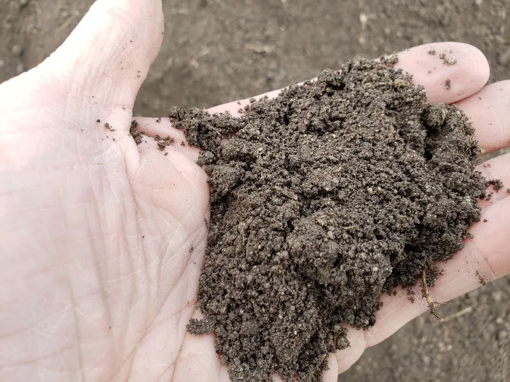 Top-rated yard maintenance for residential properties across Springville, UT - Topsoil Rocks