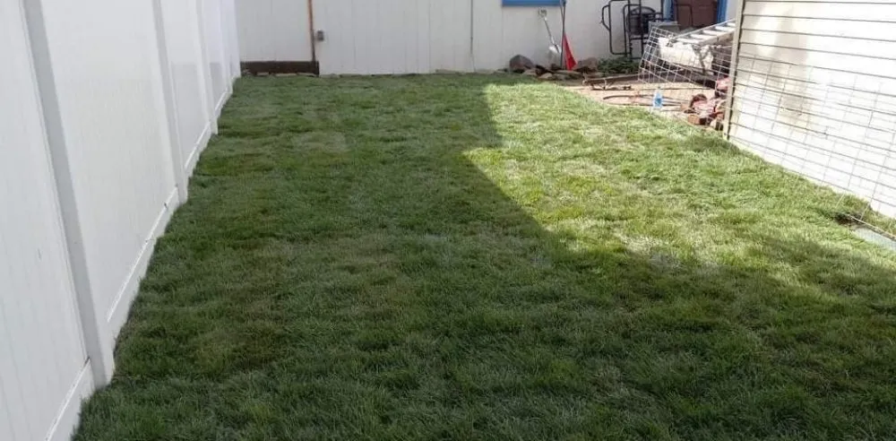 Top-rated yard maintenance experts serving Veradale, WA - Topwater Landscaping