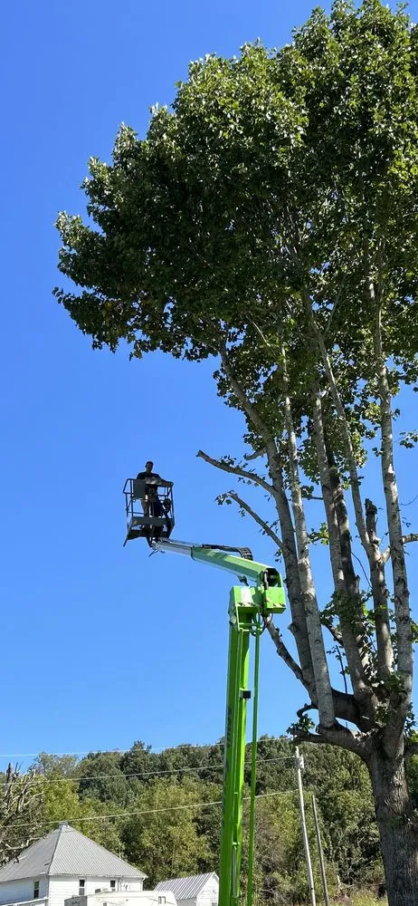 Affordable landscaping services for beautiful yards across Bristol, TN - Topz Tree Service And Landscaping