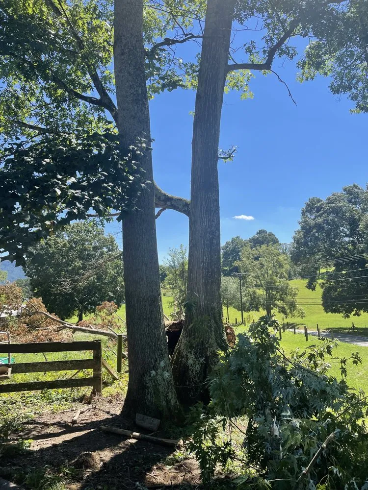 Affordable yard cleanup service experts serving Bristol, TN - Topz Tree Service And Landscaping