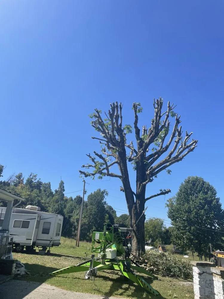 Top-rated garden landscaping in Bristol, TN by Topz Tree Service And Landscaping