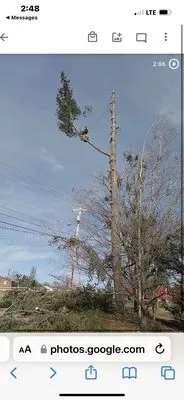 Topz Tree Service And Landscaping Logo