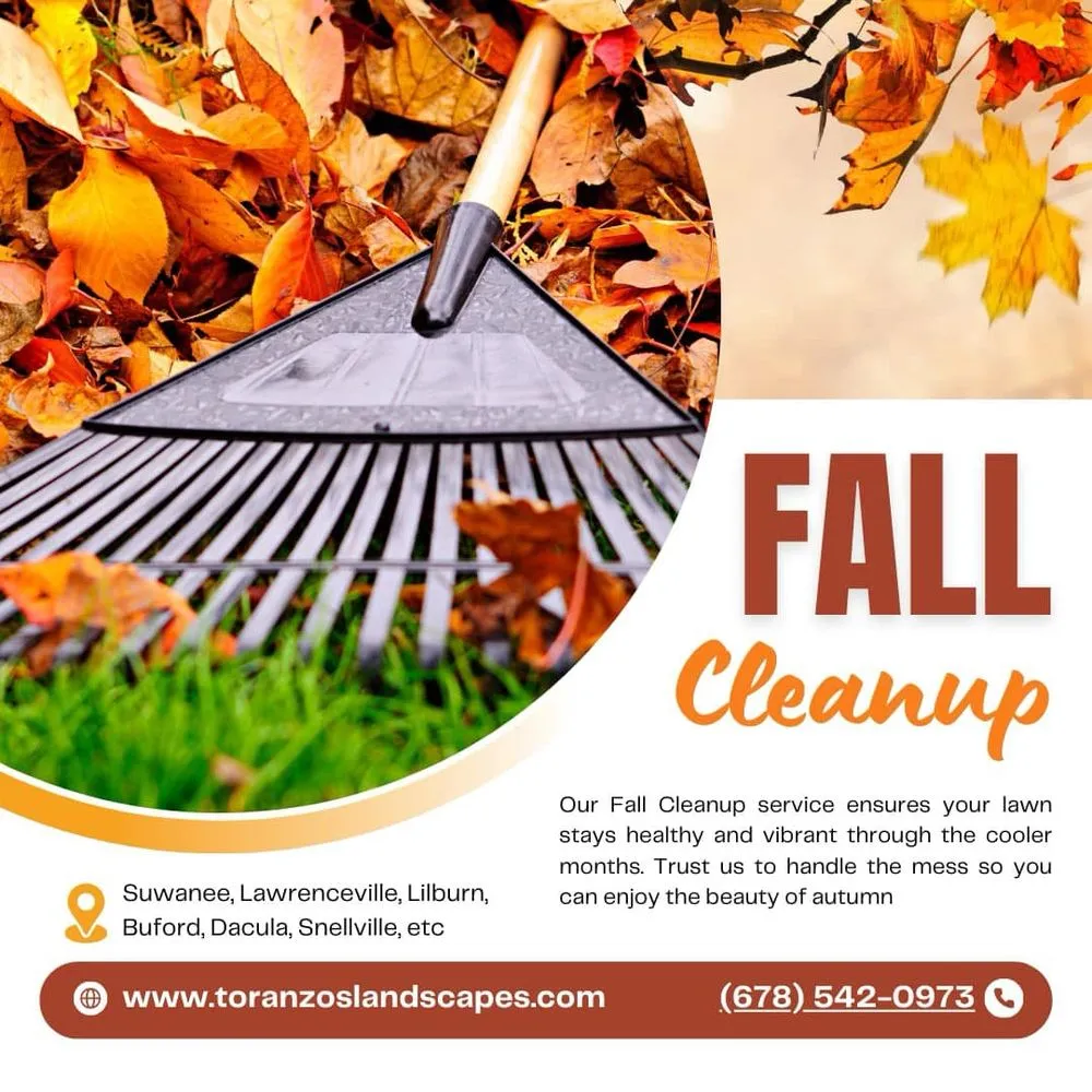 Expert yard maintenance for outdoor upgrades in Lawrenceville, GA by Toranzo's Landscape