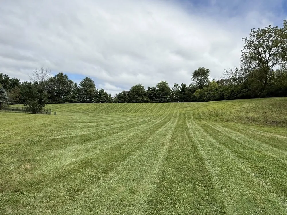 Reliable lawn care service in Easton, PA - Toribio Total Lawn Care & Landscaping