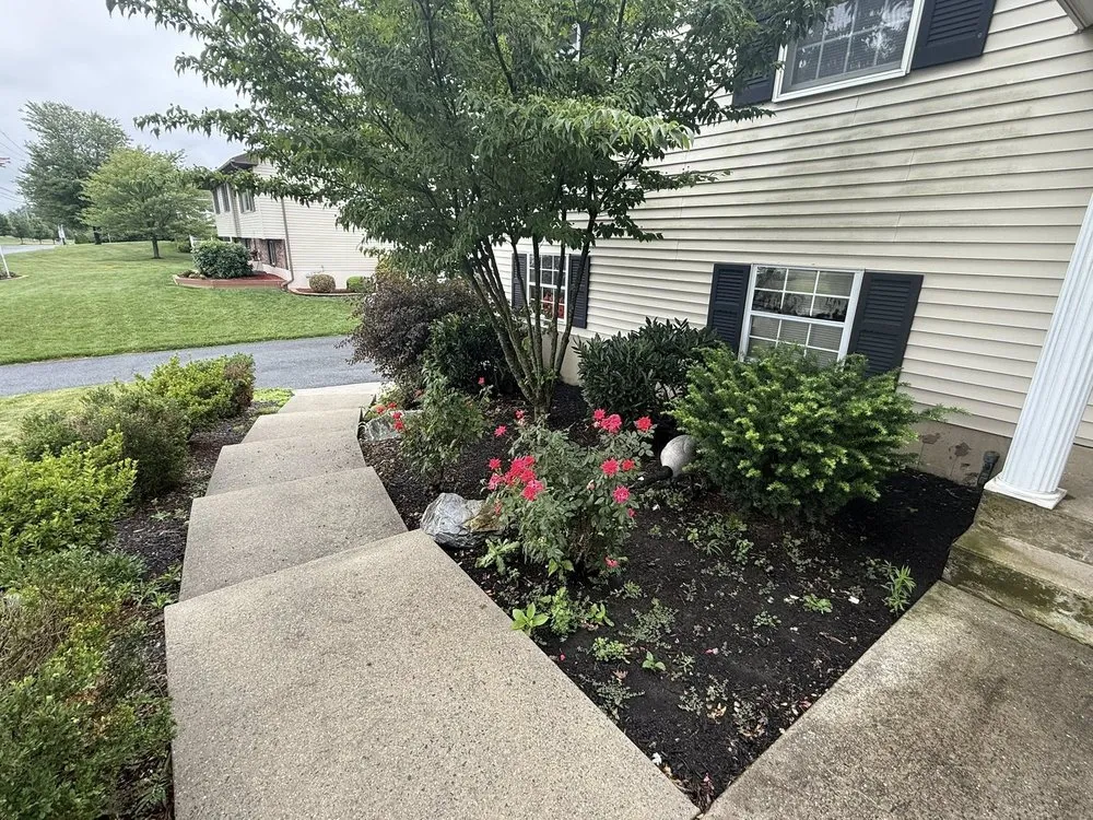 Reliable yard cleanup service near you across Easton, PA - Toribio Total Lawn Care & Landscaping