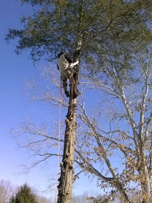 Reliable residential landscaping near you in Norwich, CT by Torillo's Landscaping