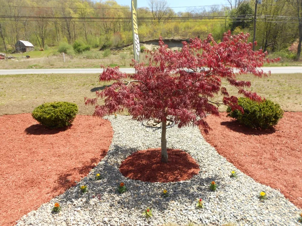 Trusted garden landscaping in Norwich, CT - Torillo's Landscaping