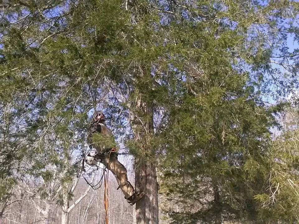 Local yard maintenance in Norwich, CT - Torillo's Landscaping