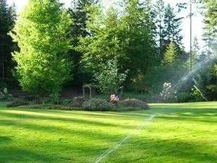 Custom yard maintenance experts serving Norwich, CT - Torillo's Landscaping