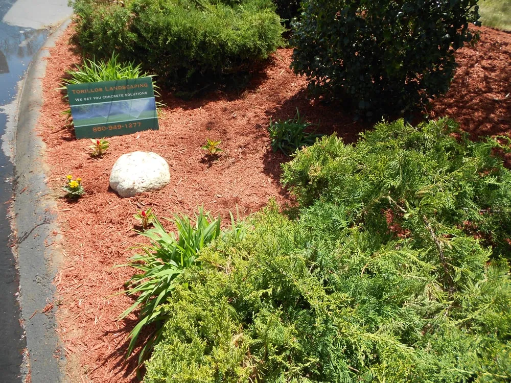 Expert lawn mowing service for residential properties in Norwich, CT by Torillo's Landscaping