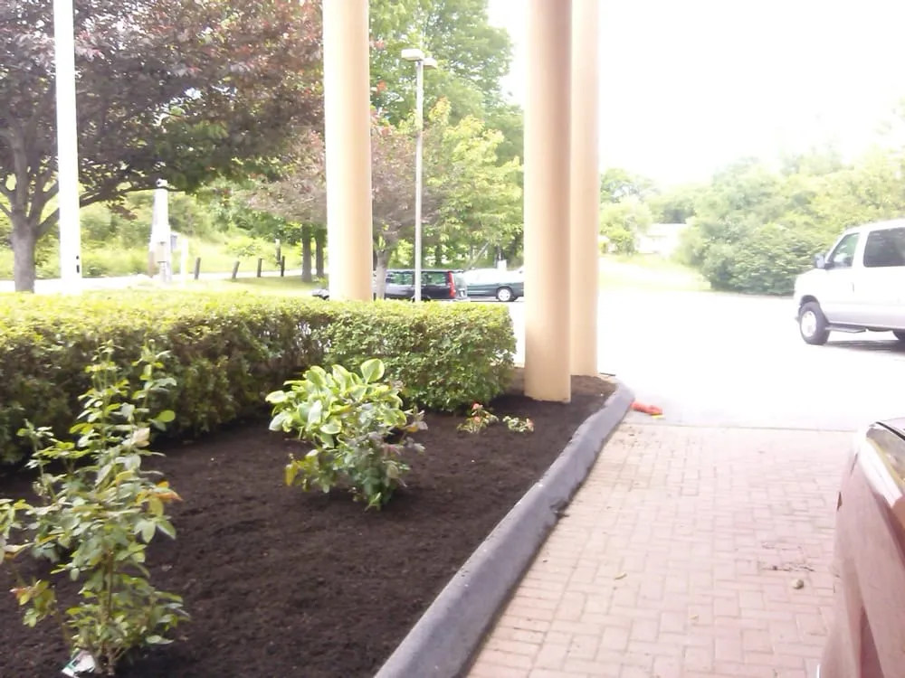 Trusted yard maintenance in Norwich, CT - Torillo's Landscaping